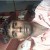 Ashok