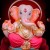 Anil