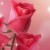 Sruthi
