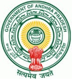 AP-Government