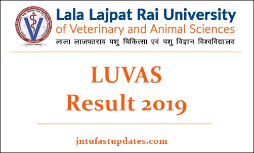 LUVAS Result 2019 - Check Non Teaching Staff Merit List & Cutoff Marks @ LUVAS Result 2019 - Check Non Teaching Staff Merit List & Cutoff Marks @