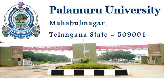 Palamuru University Degree 1st, 3rd, 5th Sem Results Dec 2021 @ Manabadi