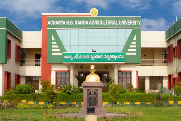AGRICET Results 2019