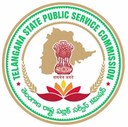 TSPSC Group 1 Result 2023 Prelims PDF (OUT) Qualified Candidates Merit List, Cutoff Marks Download